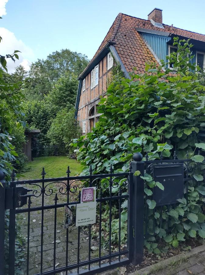 Fewo Haus Patze Betzendorf Eksteriør billede