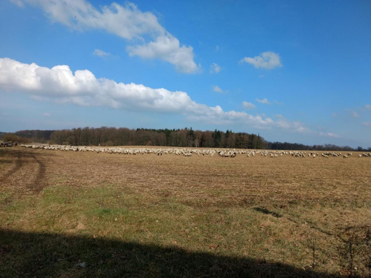 Fewo Haus Patze Betzendorf Eksteriør billede